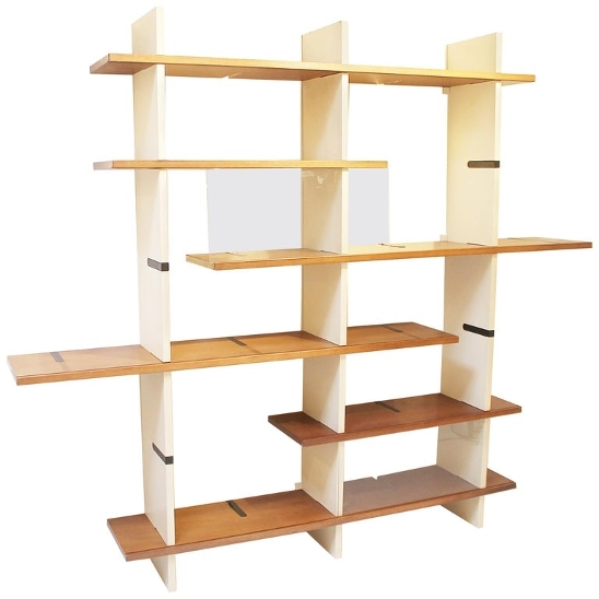 Bookshelf model 'Domino' by Eugenio Gerli for Tecno Milano -1966