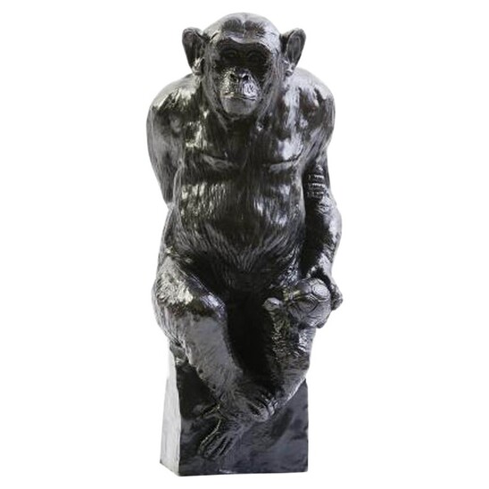 Bronze Chimpanzee Named