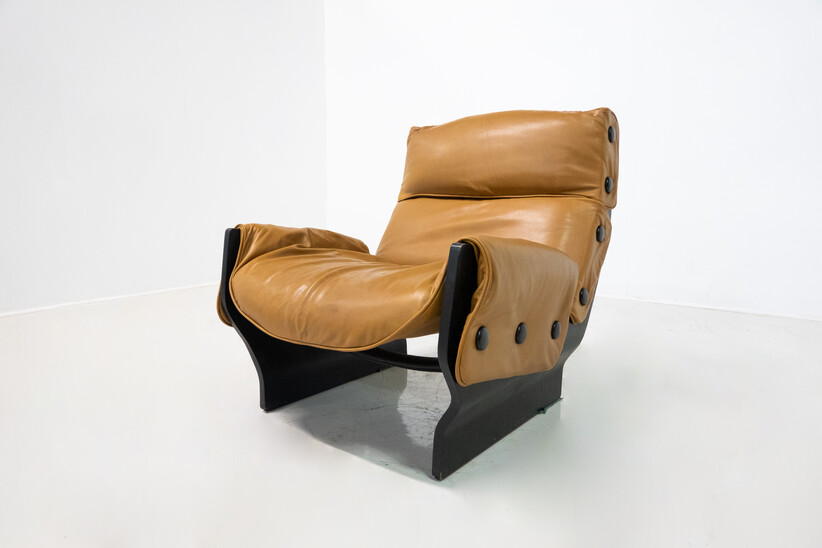 Mid-Century Modern Canada P110 Armchair by Osvaldo Borsani for Tecno, 1960s