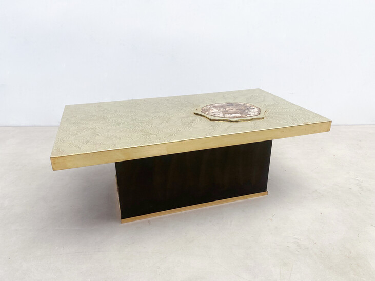 Mid-Century Modern Coffee Table in the style of Dario, Fossil Wood Incrustation, 1970s