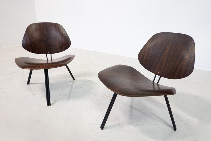 Mid-Century Modern P31 Chairs by Osvaldo Borsani, Tecno, 1950s