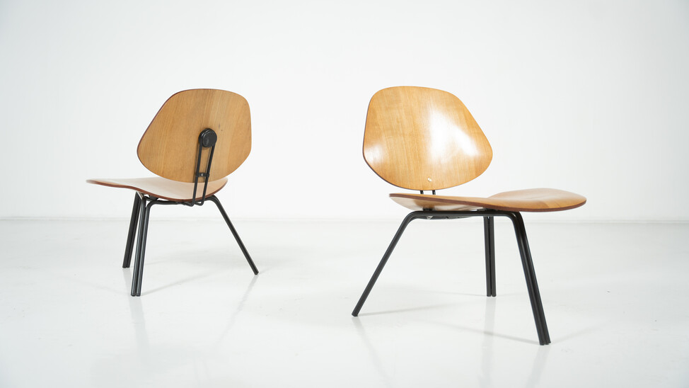 Mid-Century Modern P31 Chairs by Osvaldo Borsani, Tecno, 1950s