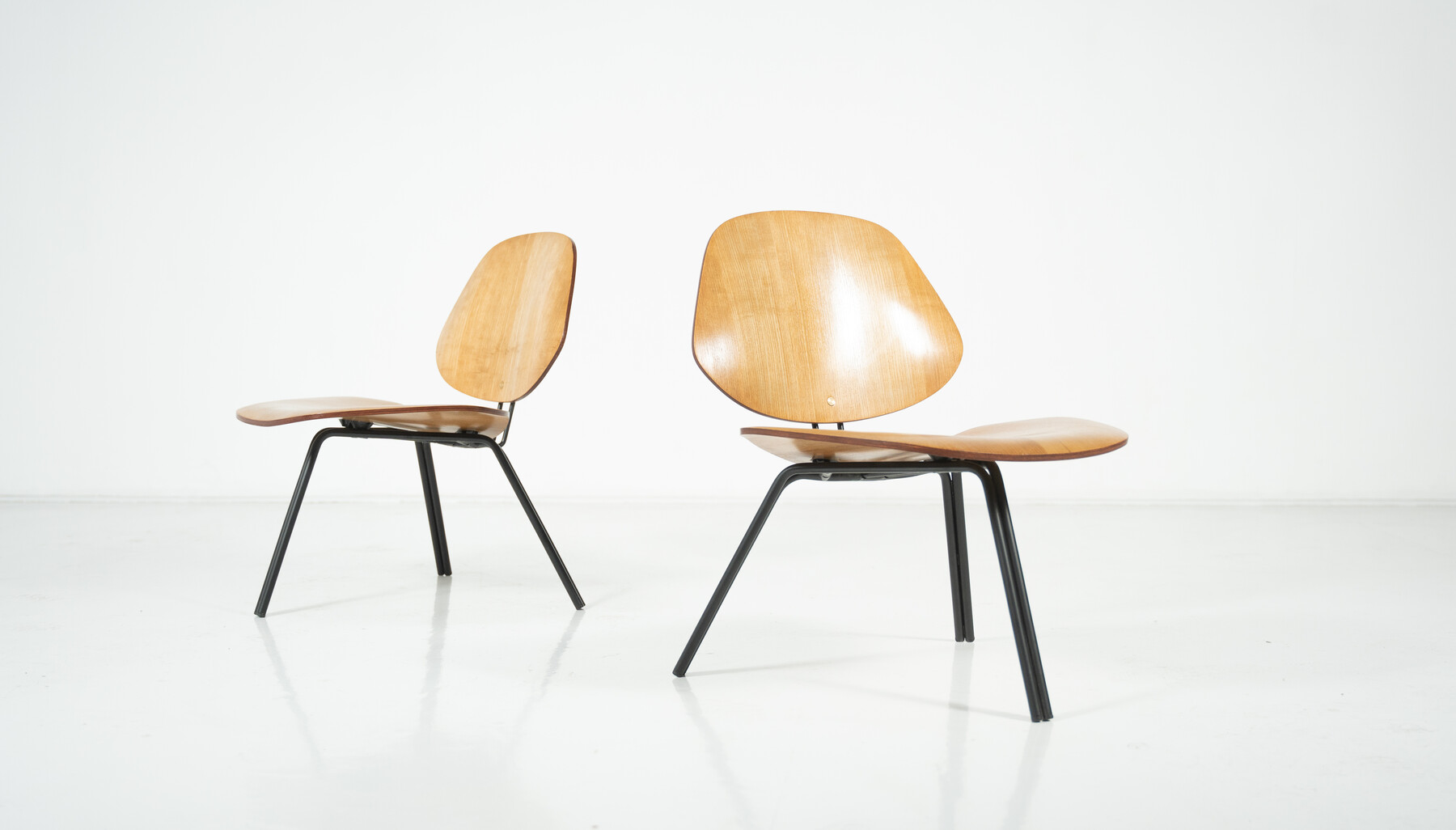 Mid-Century Modern P31 Chairs by Osvaldo Borsani, Tecno, 1950s