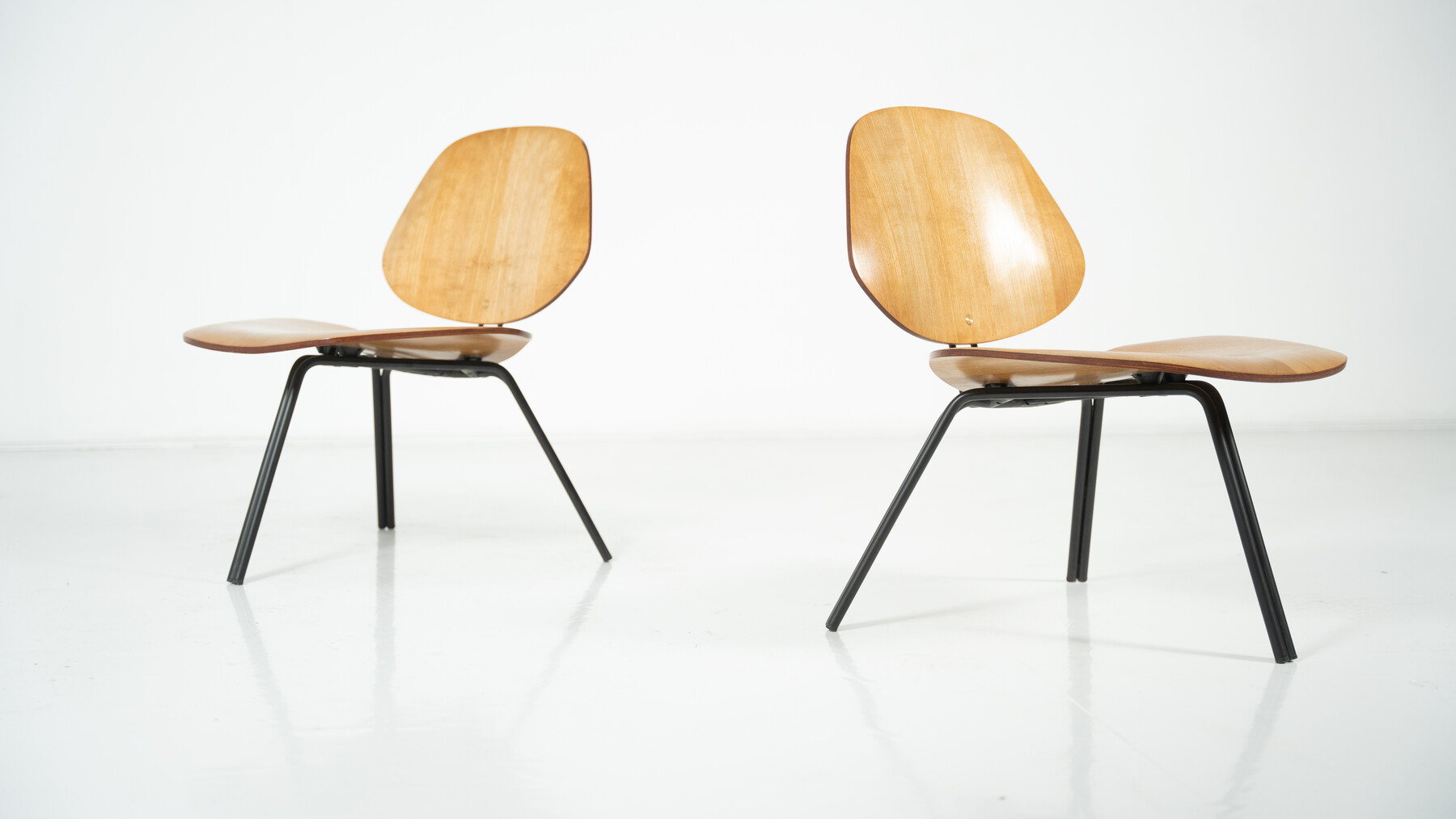 Mid-Century Modern P31 Chairs by Osvaldo Borsani, Tecno, 1950s