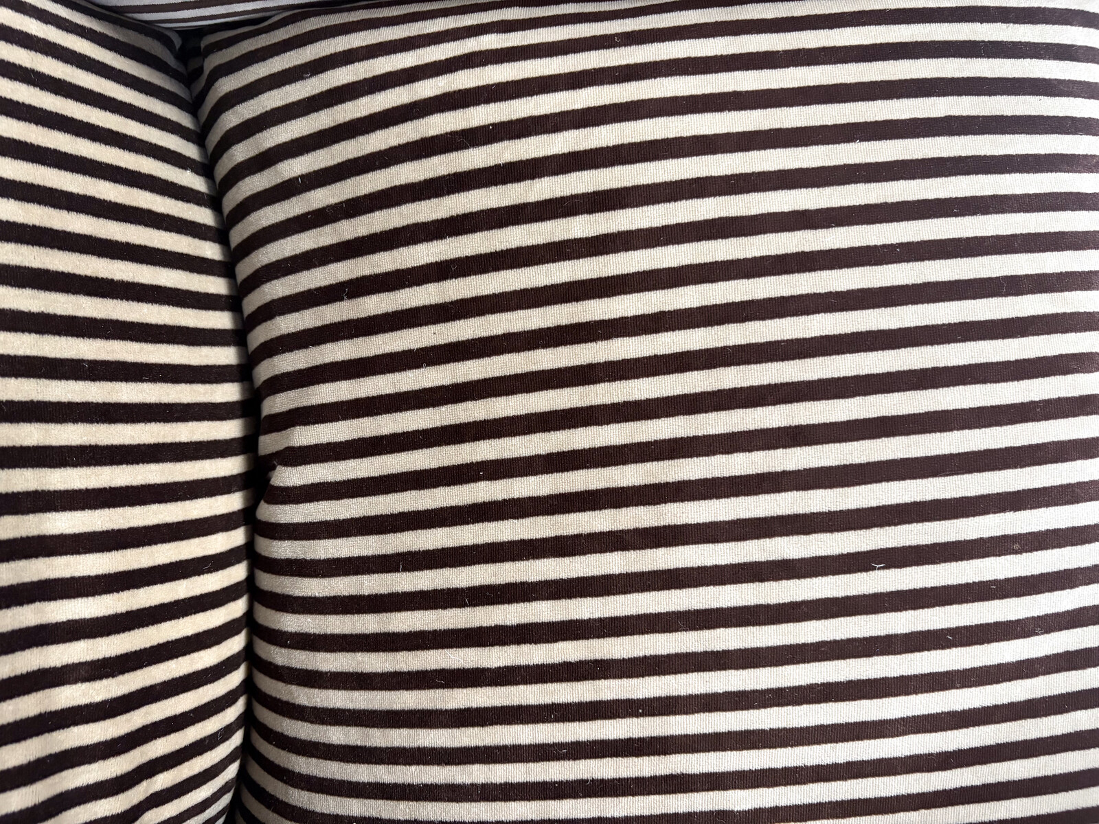 Mid-Century Modern Pair of Armchairs 