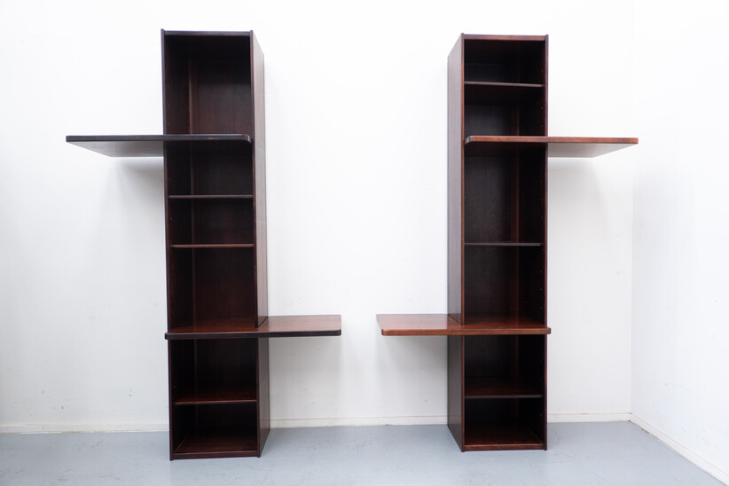 Mid-Century Modern Pair of Wall unit by Vittorio Introini, 1960s