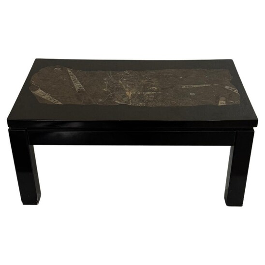 Mid-Century Modern Rectangular Coffee Table by Etienne Allemeersch, Fossilized Stone Top, 1970s