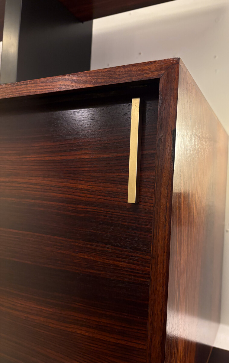 Mid-Century Modern Wall unit 