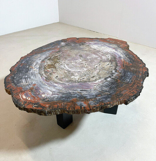 Mid-Century Petrifiedwood Coffee Table, Belgium, 1970s
