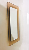 Mirror Model 