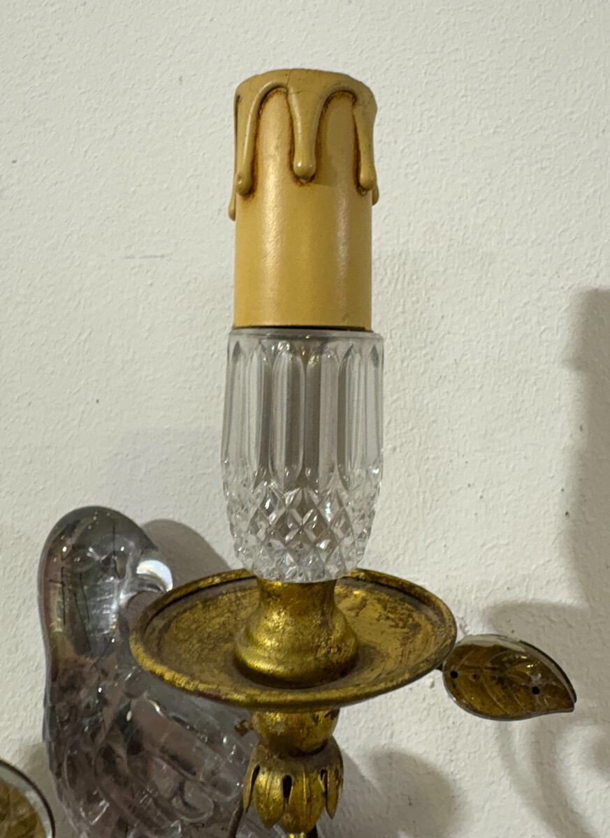 Pair of Parrot Wall lights Maison Baguès - 2 pairs available 