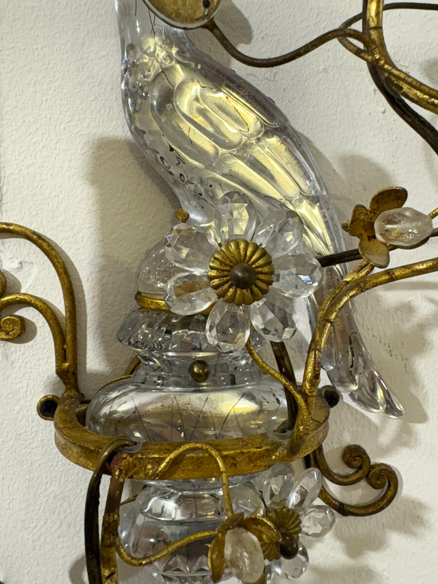 Pair of Parrot Wall lights Maison Baguès - 2 pairs available 